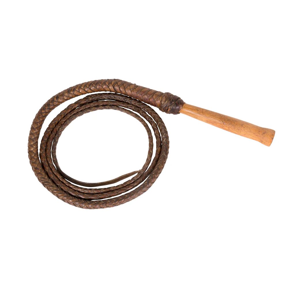 1-31.jpg Premium Bullwhip - Image 1